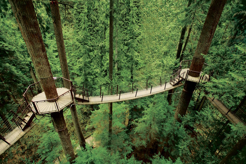 Capilano Suspension Bridge, Treetop Adventure